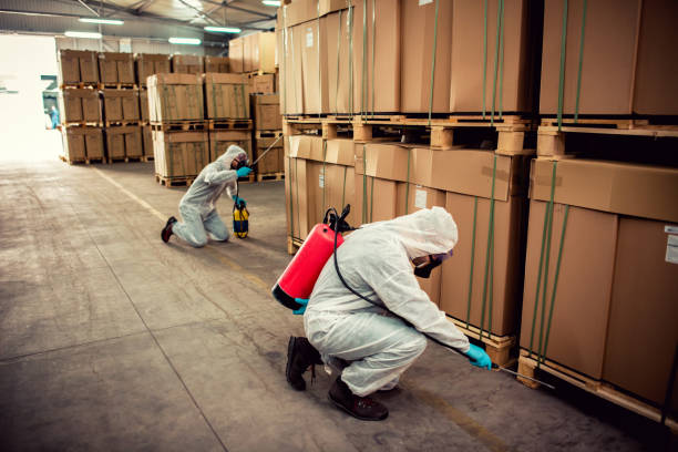 Wildlife Control Services in Florida, NY