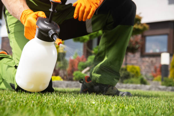 Wasp Removal Services in Florida, NY