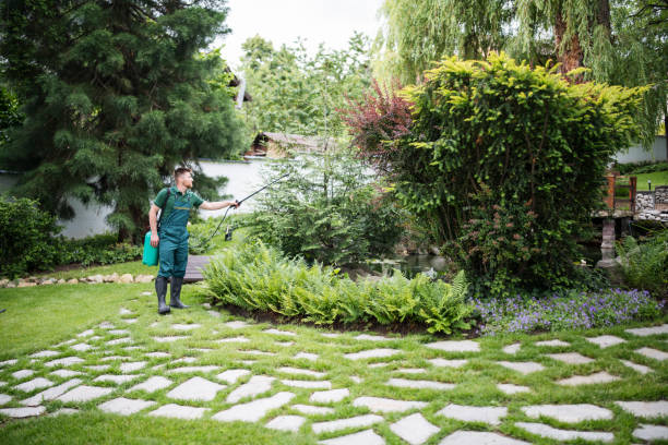 Best Wasp Removal Services  in Florida, NY
