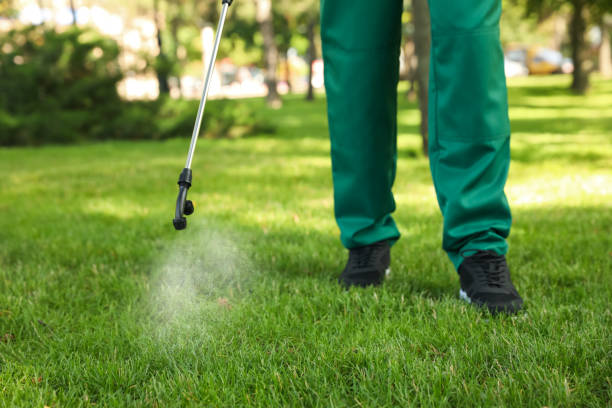 Best Termite Control Services  in Florida, NY