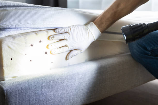 Reliable Florida, NY Pest Control Solutions