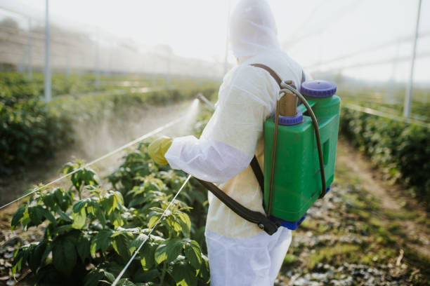 Best Residential Pest Control  in Florida, NY